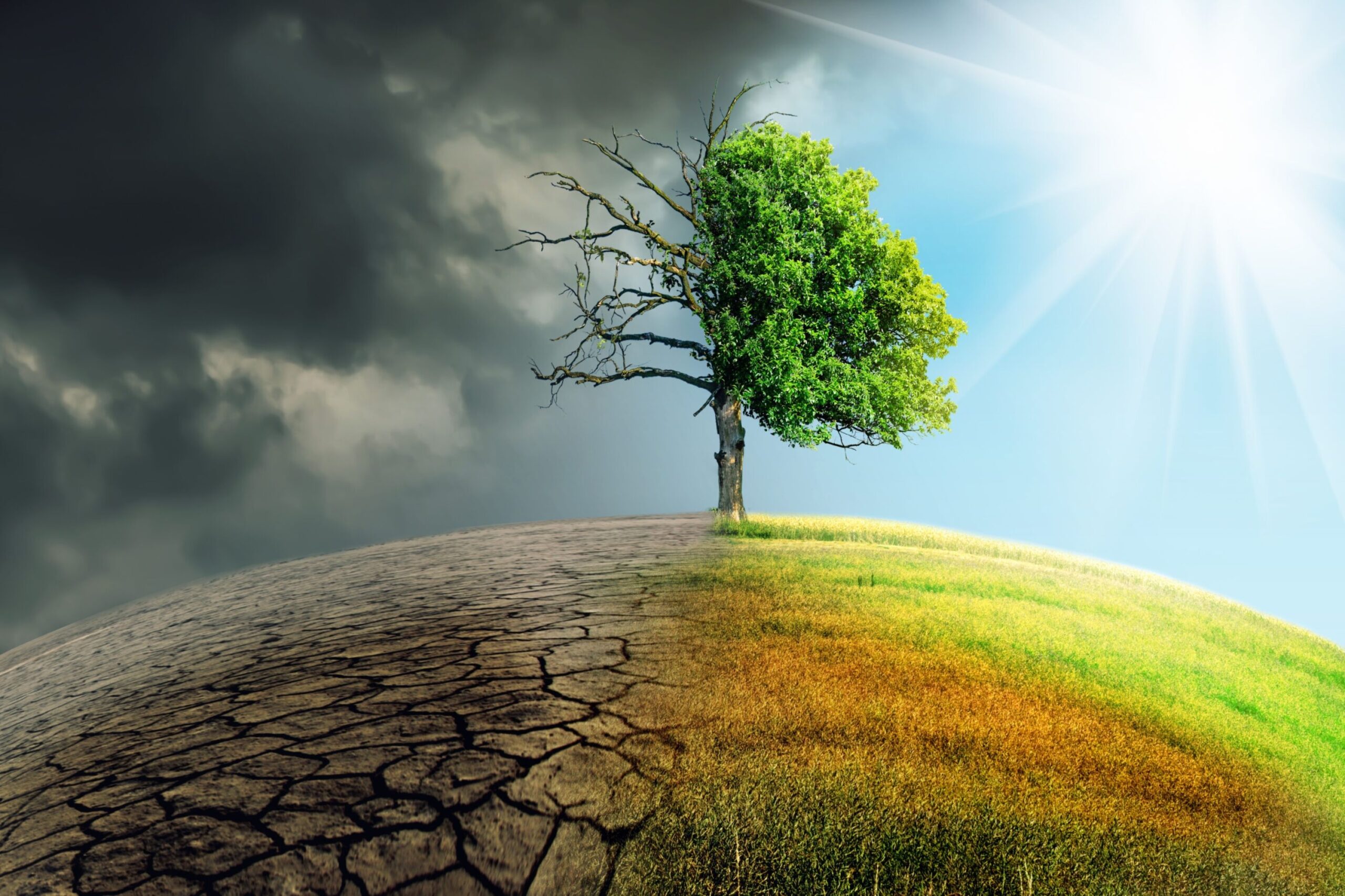 Reinsurance and Climate Risks: Safeguarding Lebanon’s Future